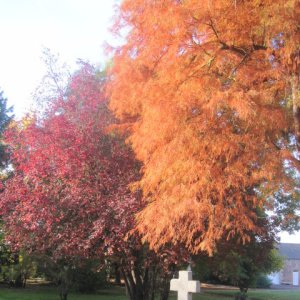 Croix dans le parc en automne