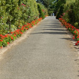 Promenade dans le jardin